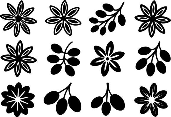 Floral Star and Berry Branch Vector Review